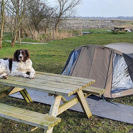 Basic 2P Tent Sotterum Hotell Kornwerd Eksteriør bilde